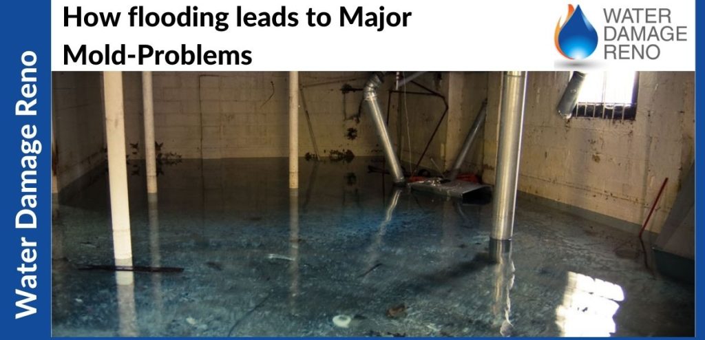 How flooding leads to Major Mold-Problems