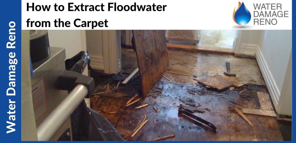 How to Extract Floodwater from the Carpet