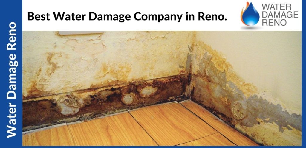 Best Water Damage Company in Reno.